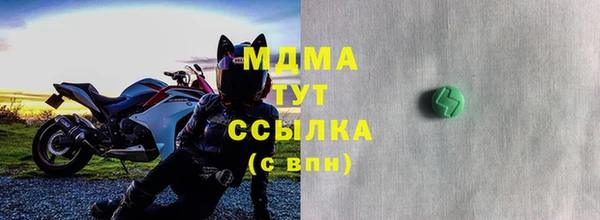 СК Алексин