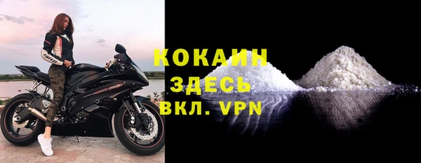 СК Алексин