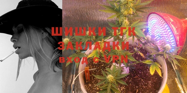 СК Алексин