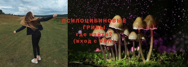 СК Алексин