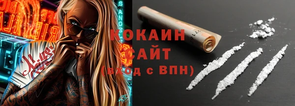 СК Алексин